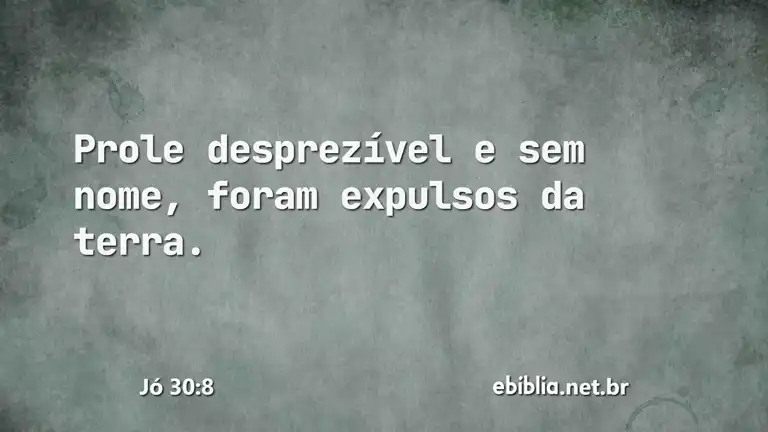 Jó 30:8