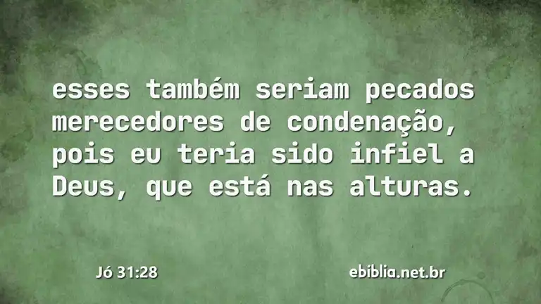 Jó 31:28