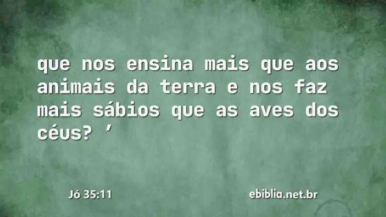 Jó 35:11