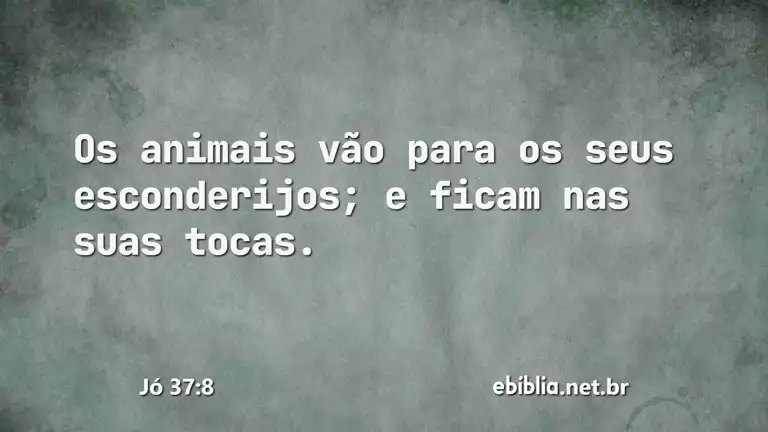 Jó 37:8