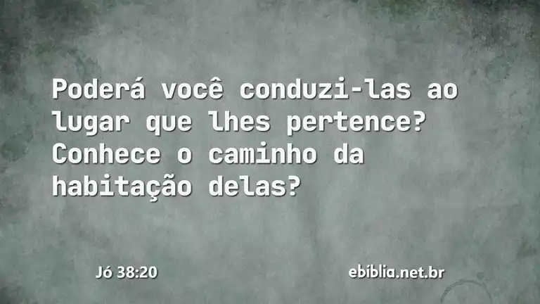 Jó 38:20