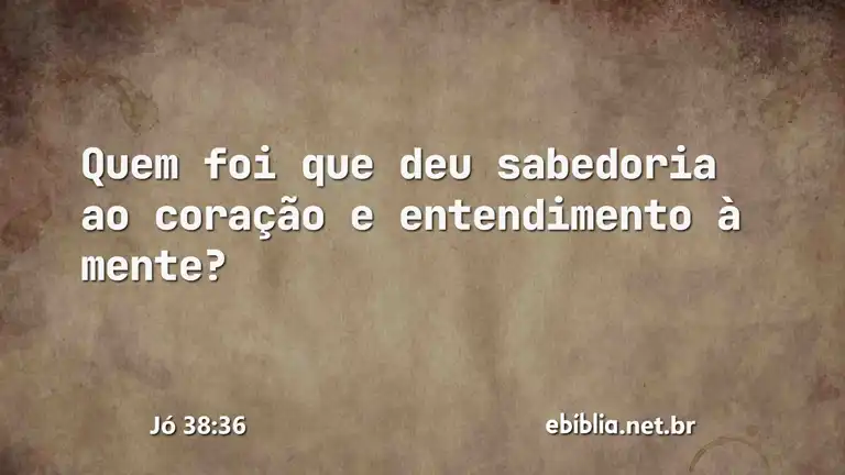 Jó 38:36