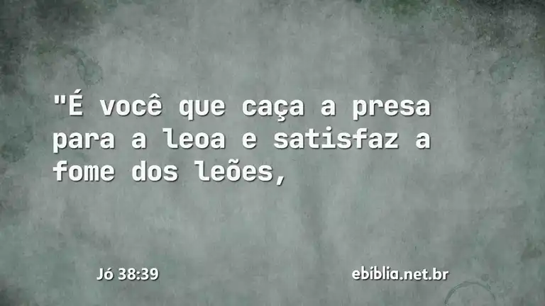 Jó 38:39