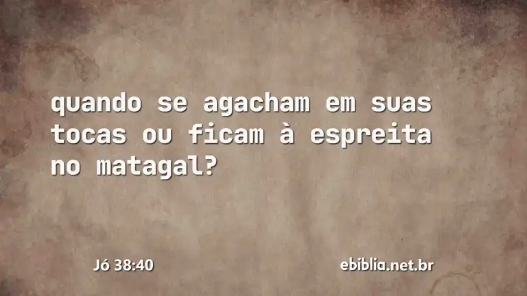 Jó 38:40