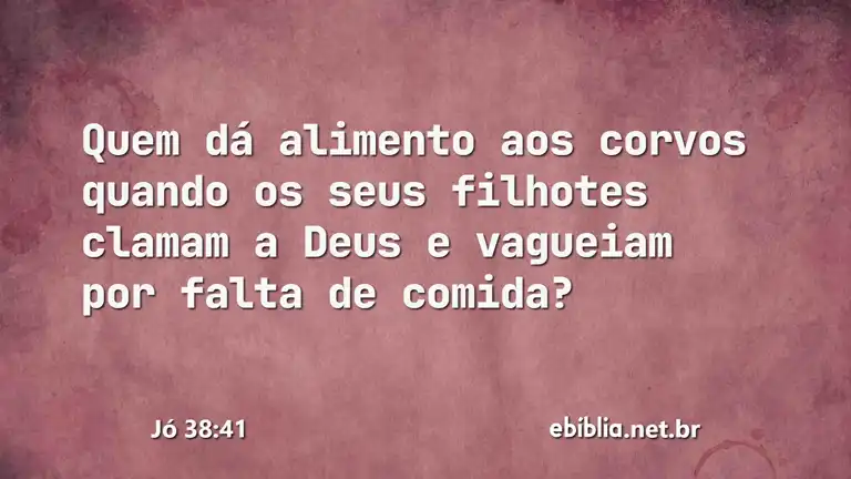 Jó 38:41