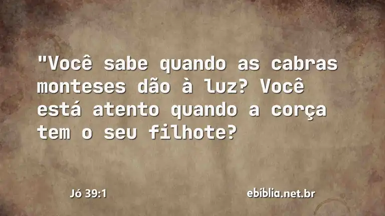 Jó 39:1