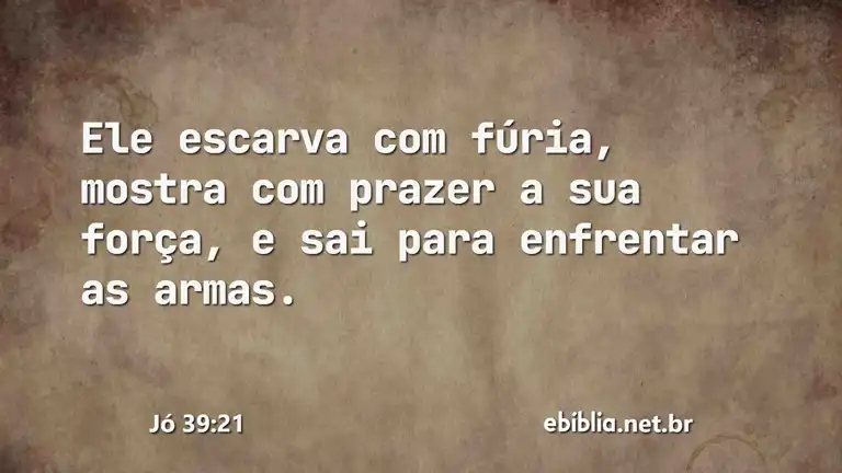 Jó 39:21