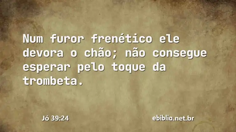 Jó 39:24