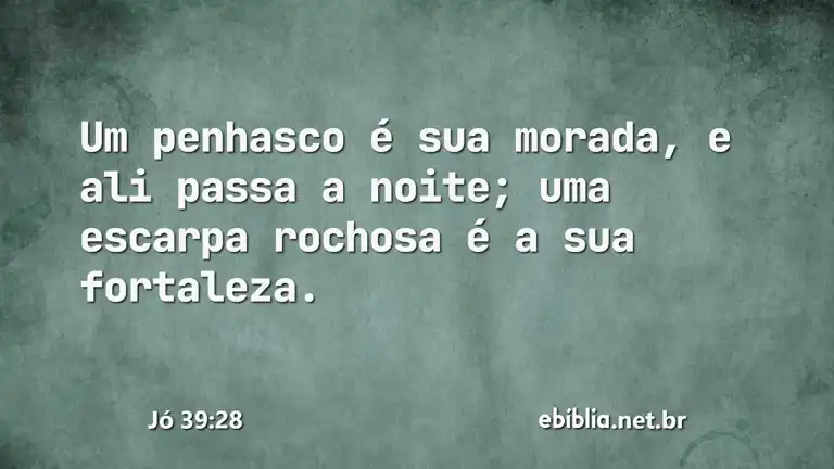 Jó 39:28