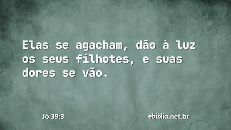 Jó 39:3