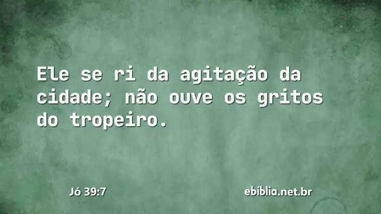 Jó 39:7