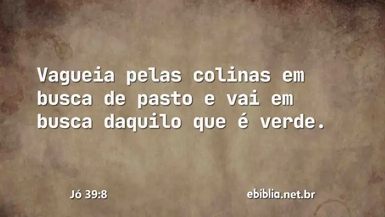 Jó 39:8