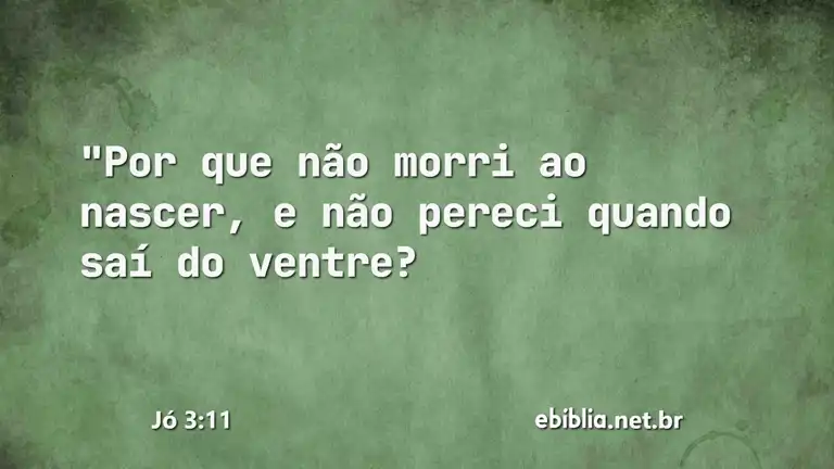 Jó 3:11