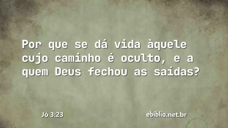 Jó 3:23