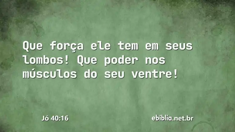 Jó 40:16