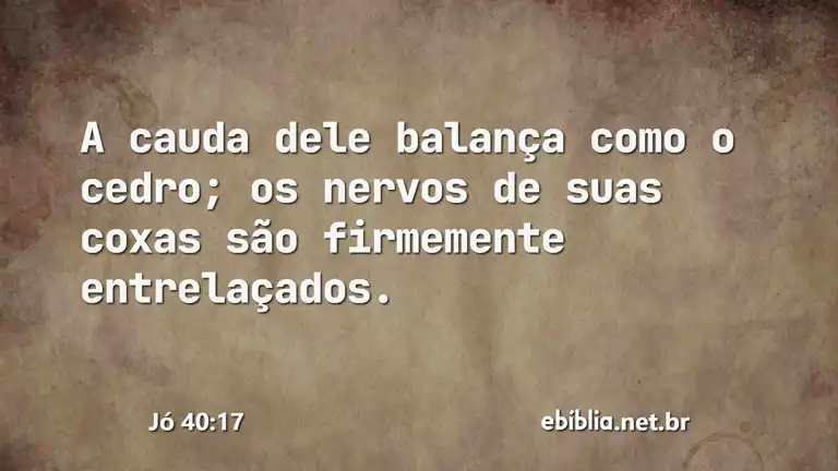 Jó 40:17