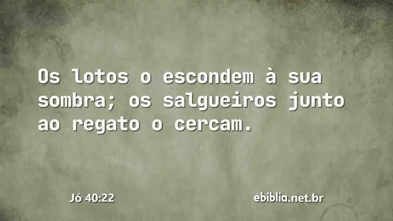 Jó 40:22