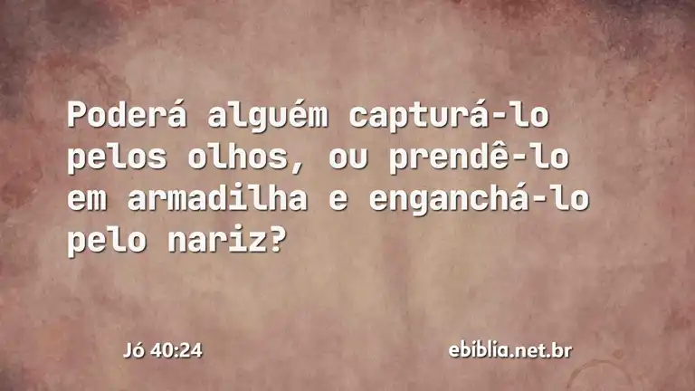 Jó 40:24