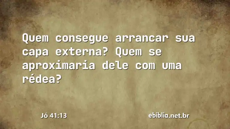 Jó 41:13