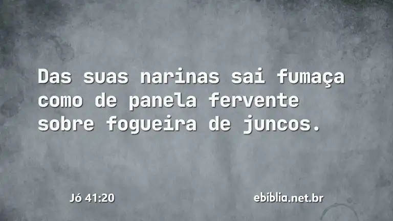 Jó 41:20