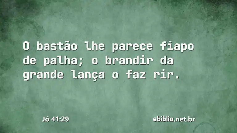 Jó 41:29