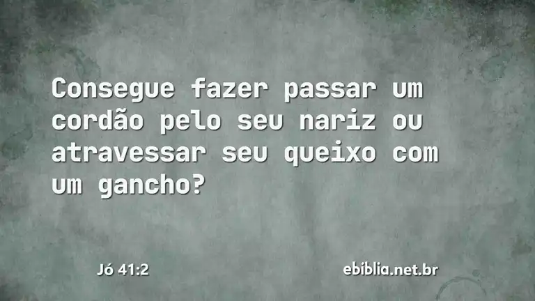 Jó 41:2