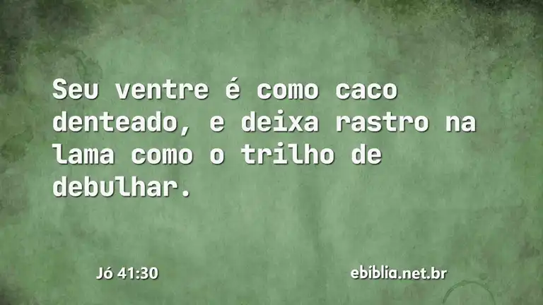 Jó 41:30