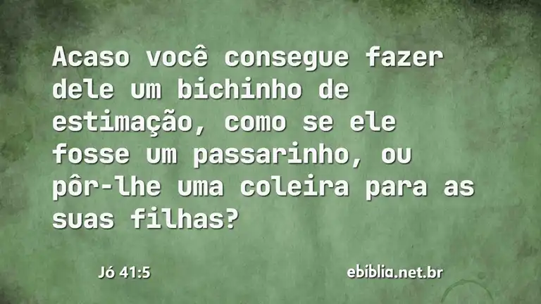 Jó 41:5