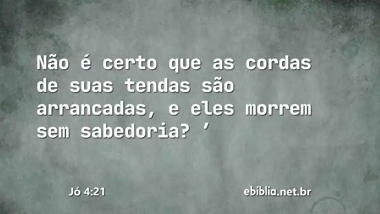 Jó 4:21