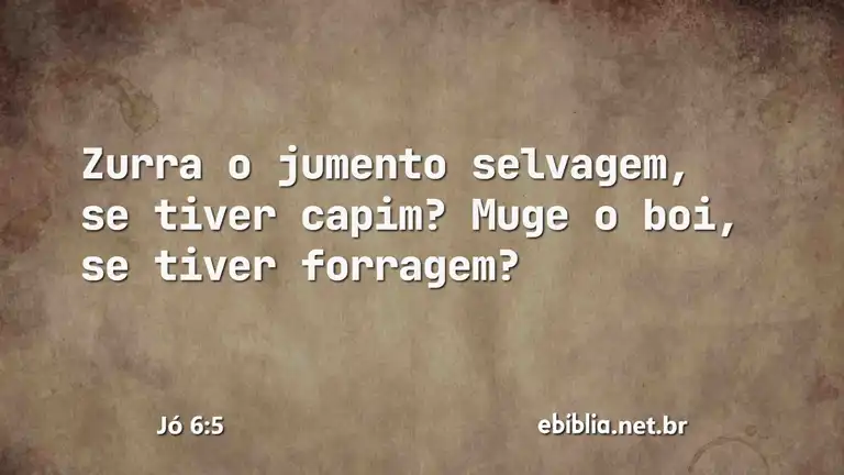 Jó 6:5