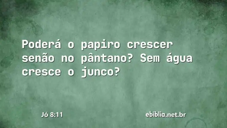 Jó 8:11