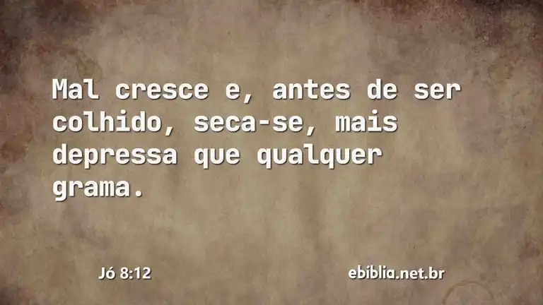 Jó 8:12