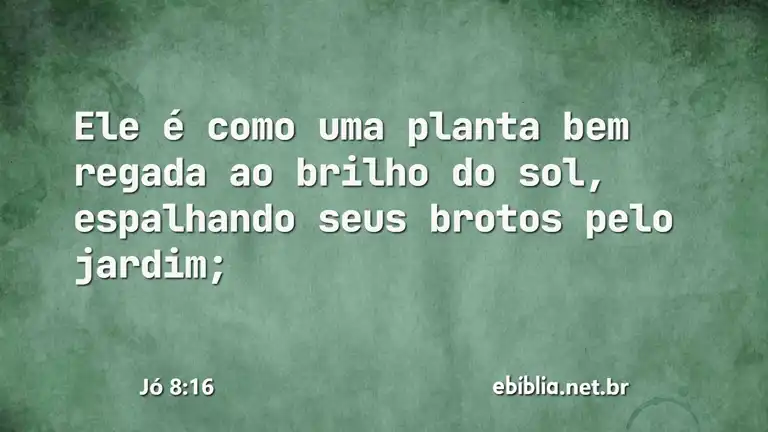 Jó 8:16