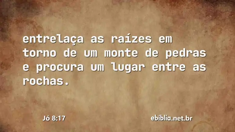 Jó 8:17