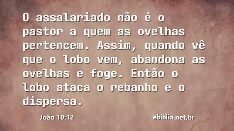 João 10:12