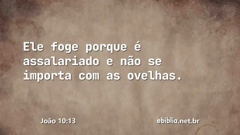 João 10:13