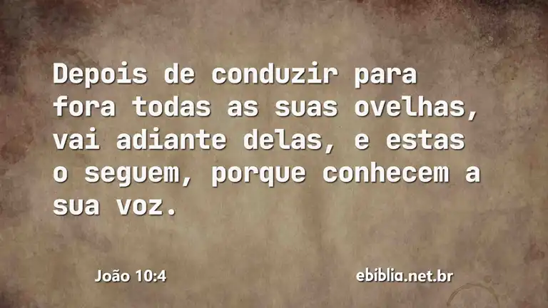 João 10:4