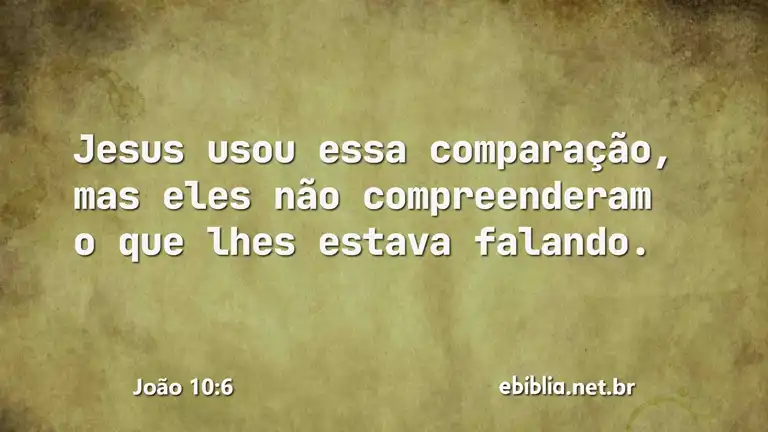 João 10:6