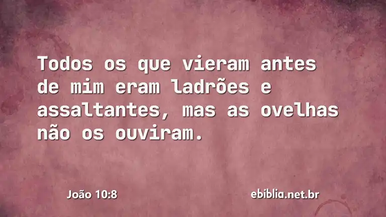 João 10:8