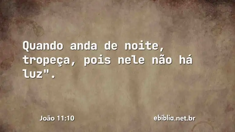 João 11:10