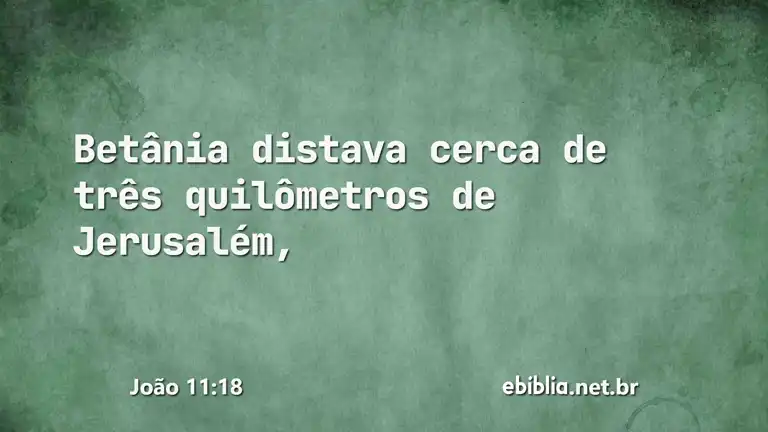 João 11:18