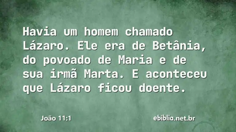 João 11:1