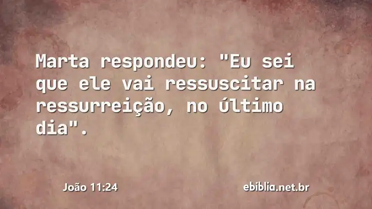 João 11:24