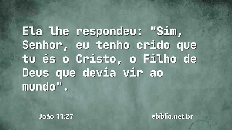 João 11:27