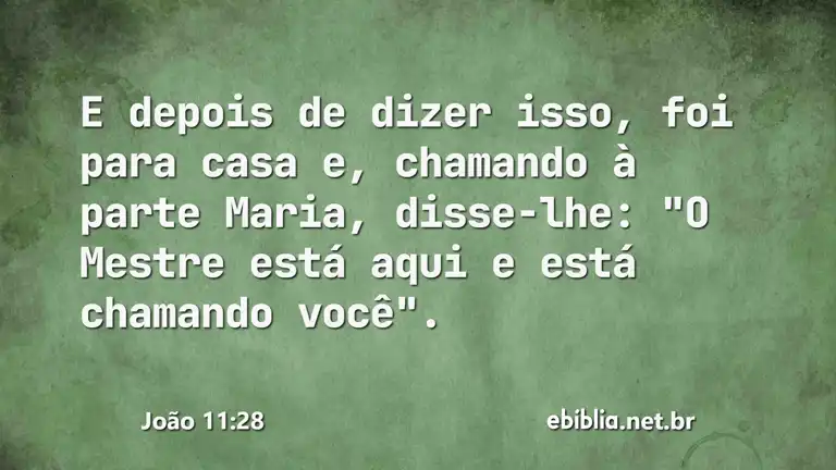 João 11:28