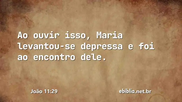 João 11:29