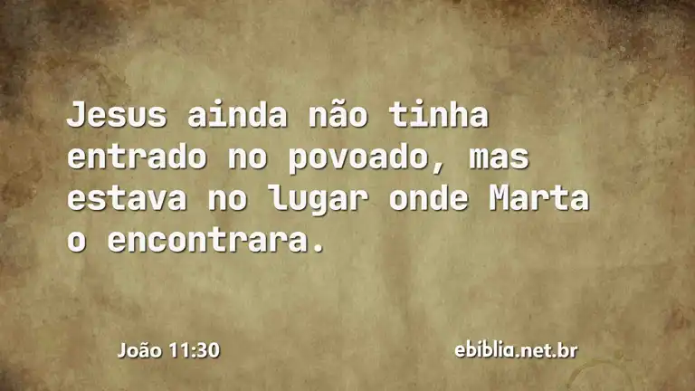 João 11:30