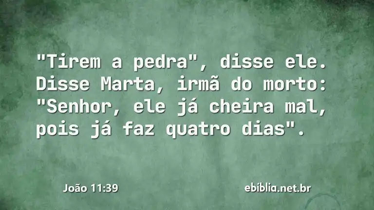 João 11:39