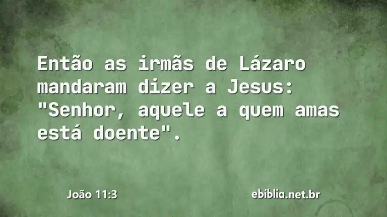 João 11:3