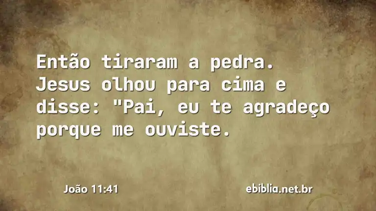 João 11:41